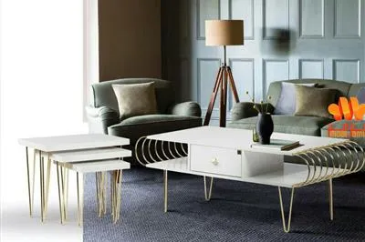 میز جلو مبلی و عسلی لینا