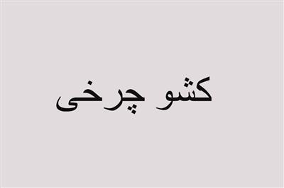 کشو چرخی سرویس خواب نوجوان421