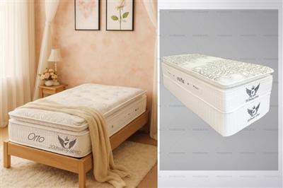 تشک مدل orto  برند بیست