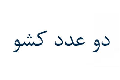 دو کشو تخت دو طبقه تدی