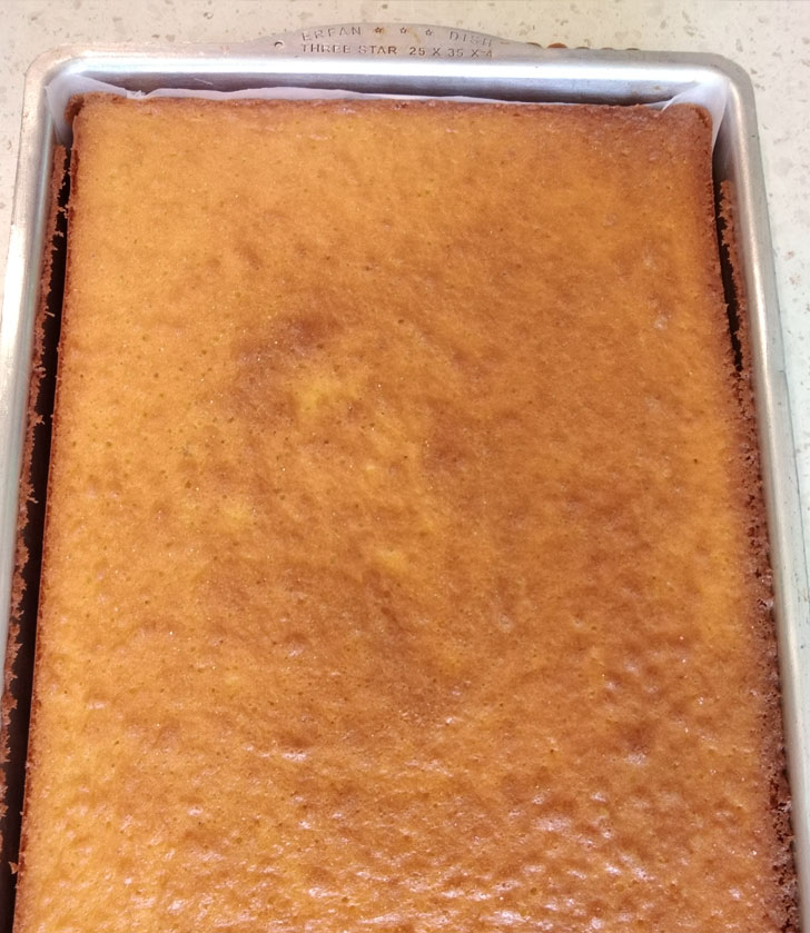 طرز تهیه کیک شنی