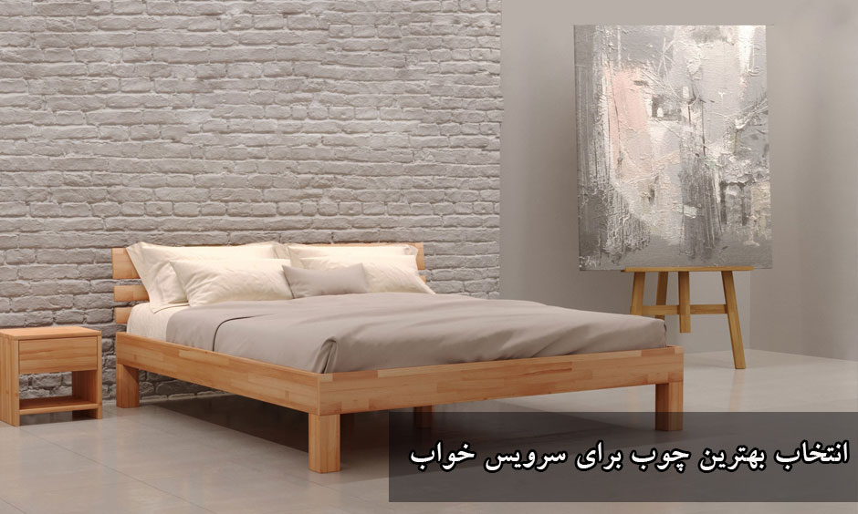 چوب راش