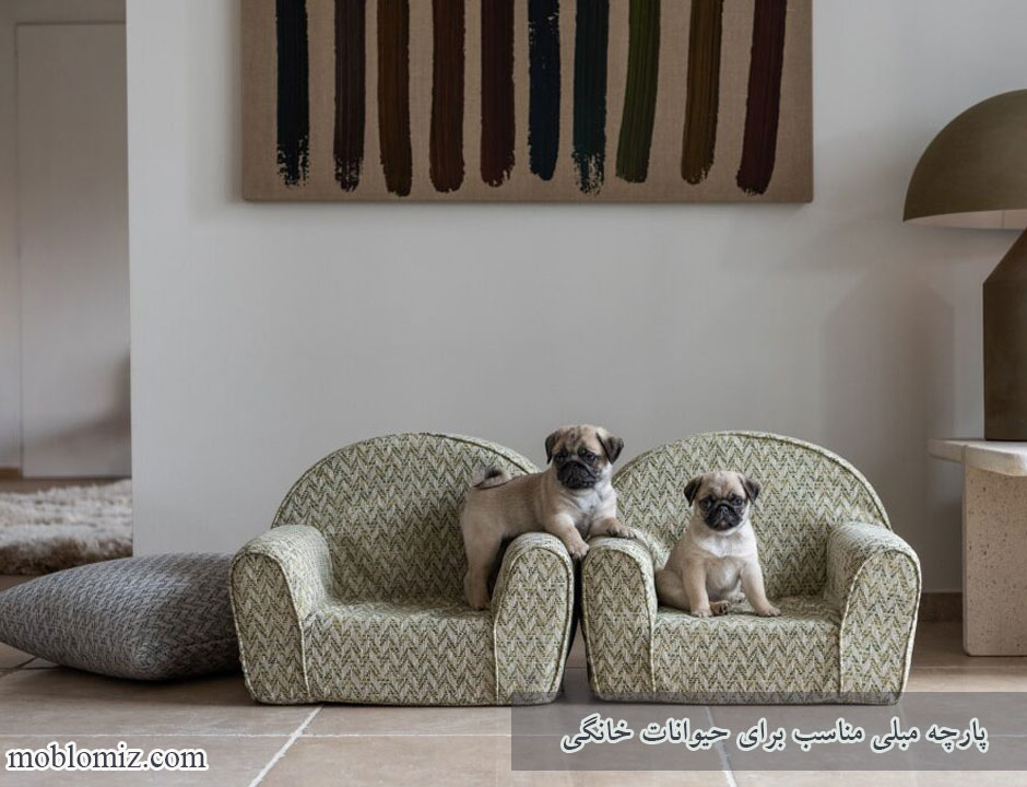 نکات مهم انتخاب پارچه مبلی مناسب حیوانات خانگی